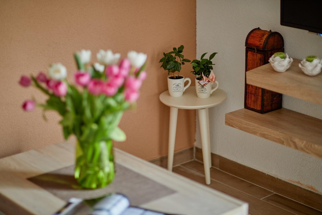 Passage Apartments Kotor Ngoại thất bức ảnh