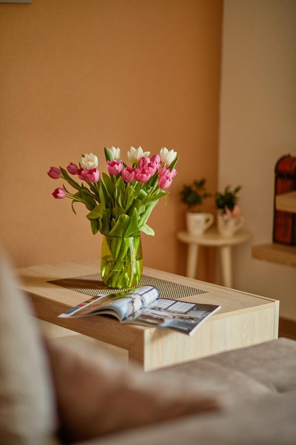 Passage Apartments Kotor Ngoại thất bức ảnh